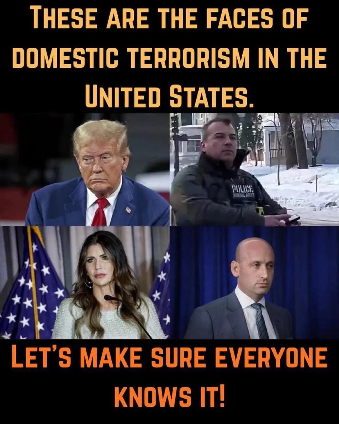 Domestic Terroists